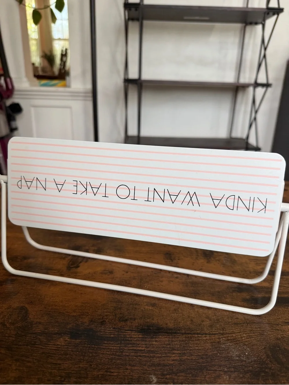 Kinda Need to Study - Want to Take a Nap Pink Desk Sign - Home Office Accent